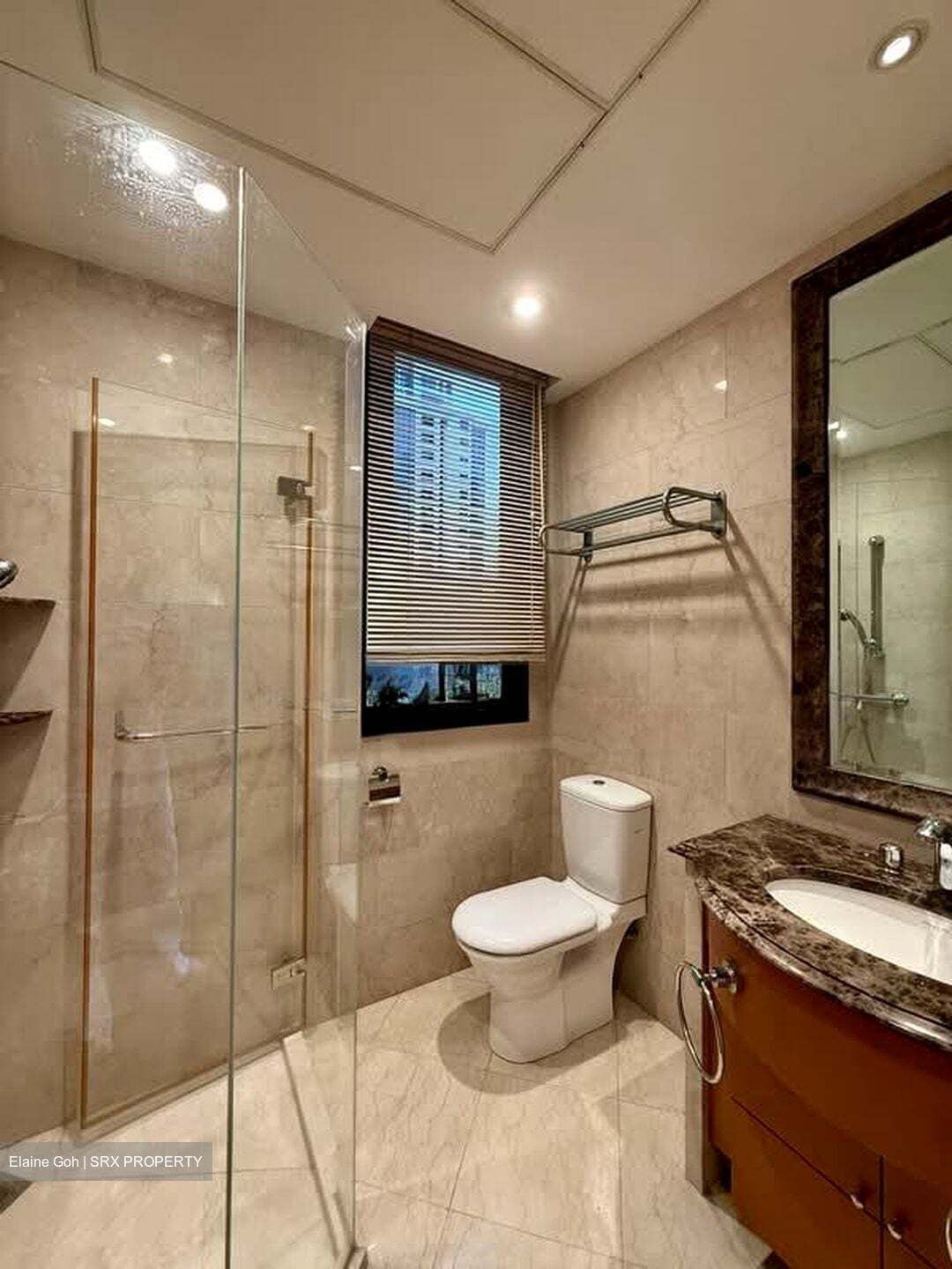 Ardmore Park (D10), Condominium #555344231